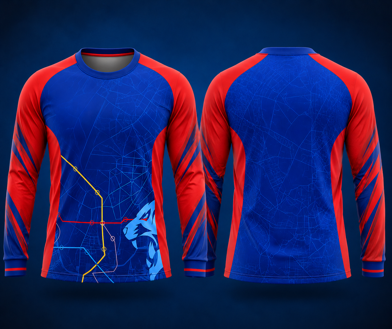 delhi blue colour fan jersey round nek full sleeve name and number print